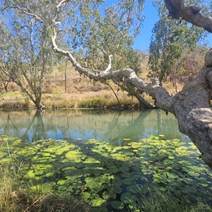 Dog Chain Creek