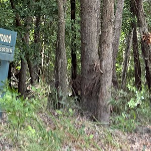 Pelican Bay Campground