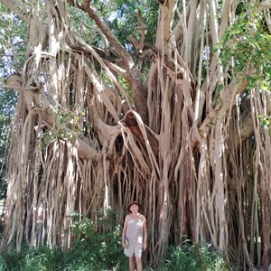 Lombadina Camping & Cabins