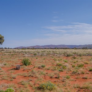 Great Victoria Desert