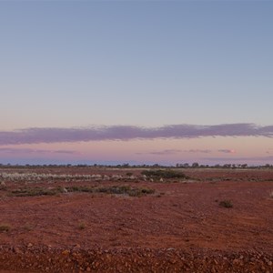 Pedirka Desert 