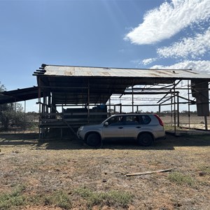 Abandoned shearing shed