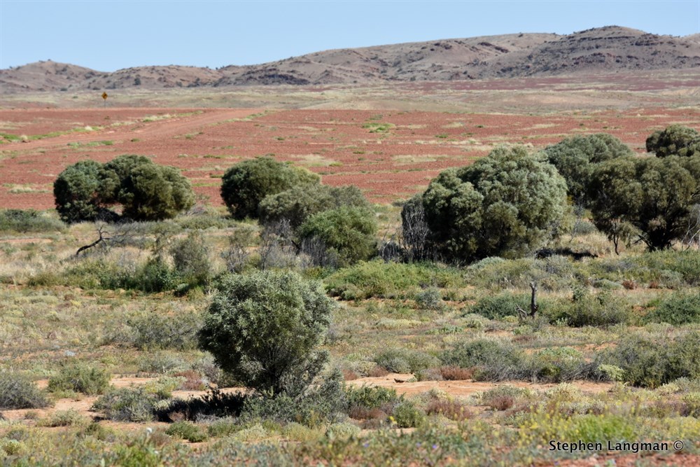 Mount Dutton SA ExplorOz Places