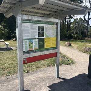 Beauchamp Falls Track