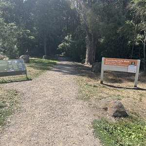 Beauchamp Falls Track