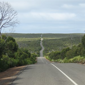 Winding through the scrub