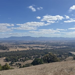 One Tree Hill Lookout