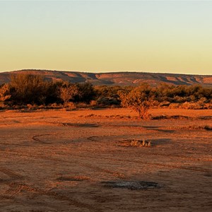 Unofficial Bush Camp