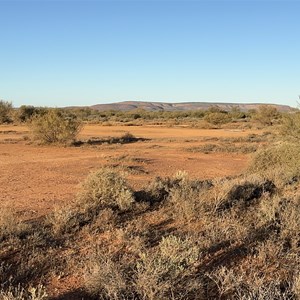 Unofficial Bush Camp