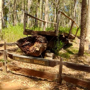 Bibbulmun Track Access Point - One Tree Bridge