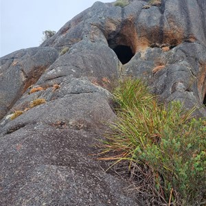 Possum Trapper's Cave