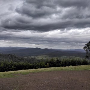 One tree Hill lookout