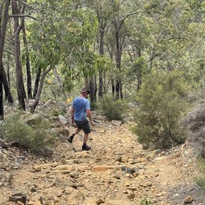 Rocky Pool Circuit Hike