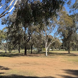 Cooinda Rest Area (24hr RV Parking)