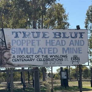 Cooinda Rest Area (24hr RV Parking)