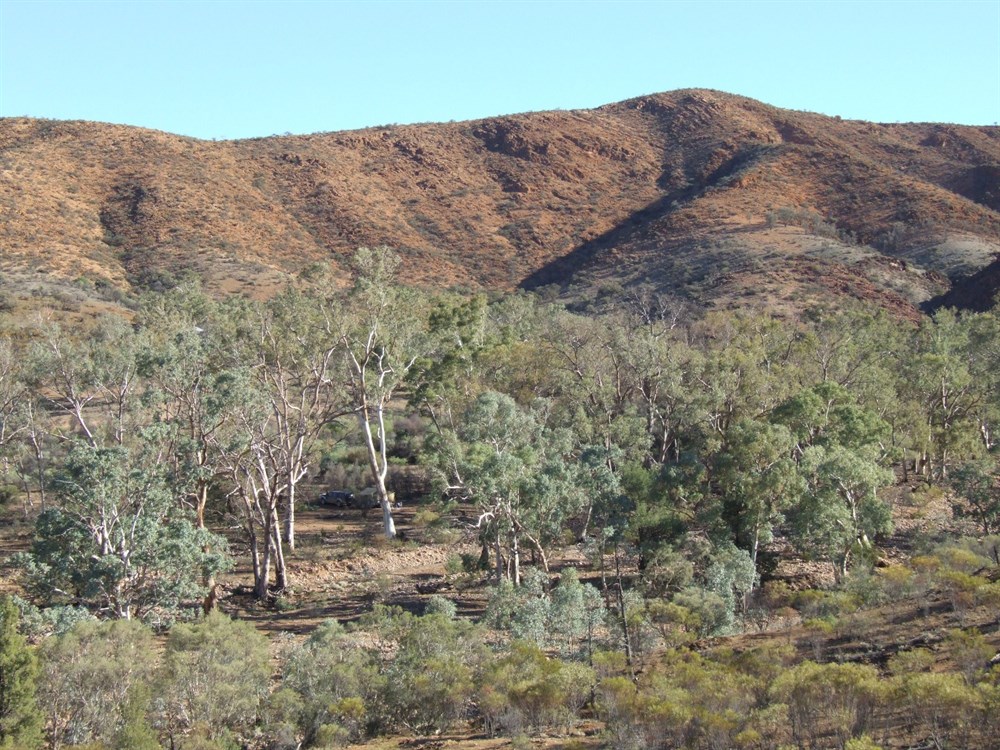 Grindell Hut SA @ ExplorOz Places
