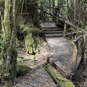 Creepy Crawly Nature Walk