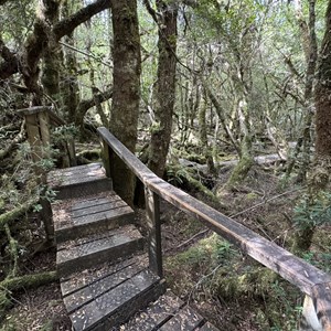 Creepy Crawly Nature Walk