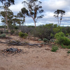 Newman Rocks Camping