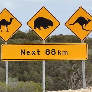 Animal Road Sign