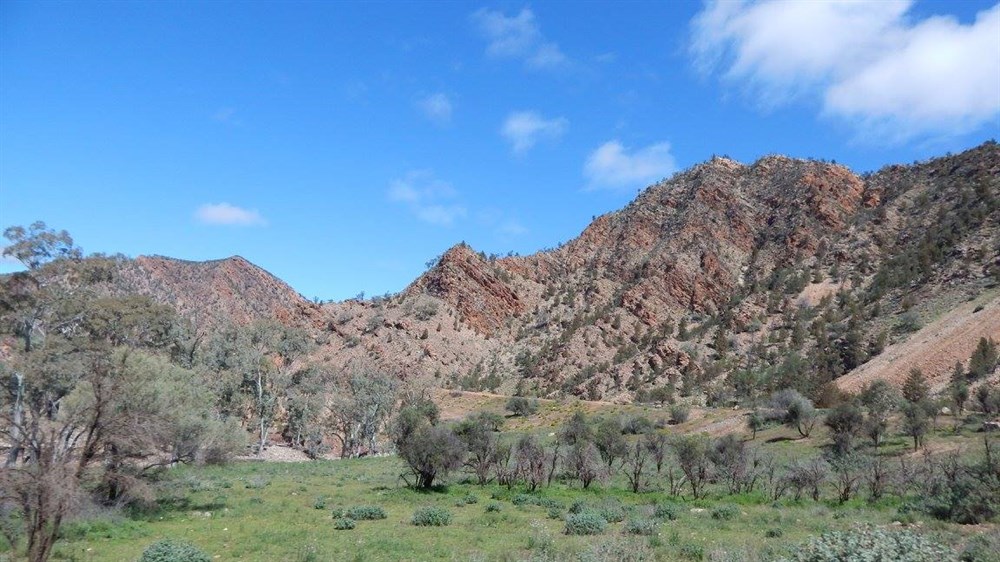 Brachina SA ExplorOz Places