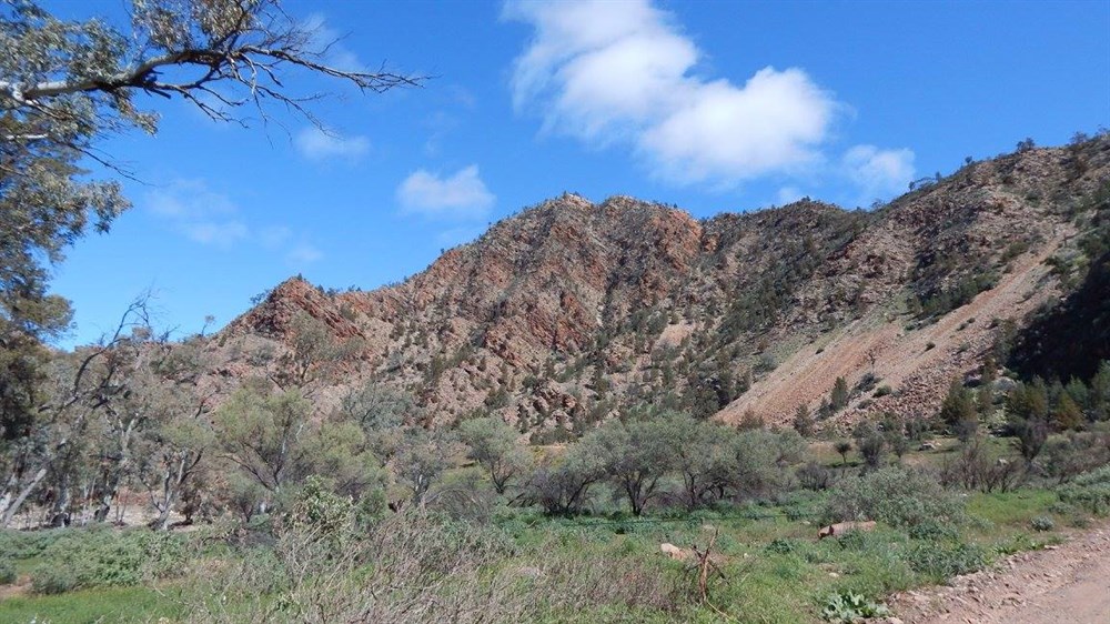 Brachina SA ExplorOz Places