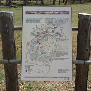 Old Wilpena Station