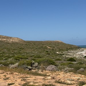 Whalebone Bay Lookout