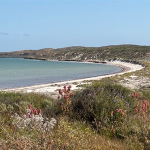 Whalebone Bay Lookout