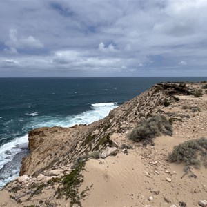 Cape Nuyts