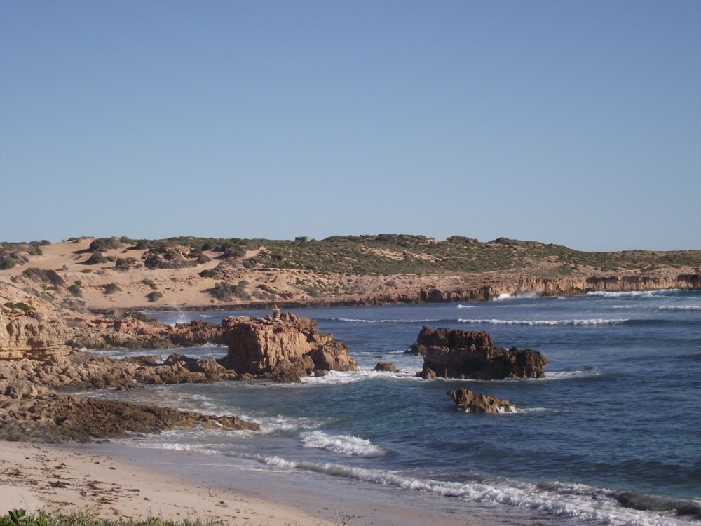Cactus Beach SA ExplorOz Places