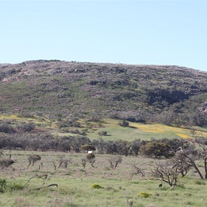 Mt Yardea - Gawler Ranges SA