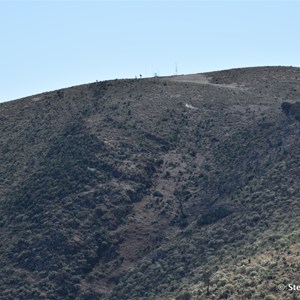Mount Arden 