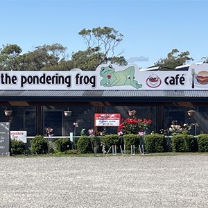 The Pondering Frog Cafe & RV Camp