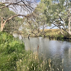 Leigh River camp