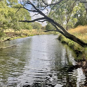 Leigh River camp