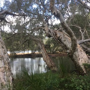 Emu Creek camp