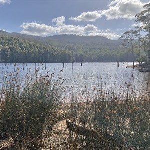 Lake Cethana Campground