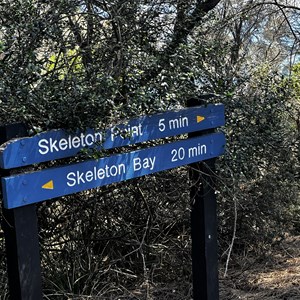 Trail Junction Skeleton Point