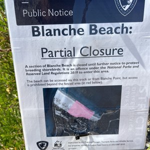Blanche Beach