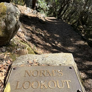 Norm’s Lookout