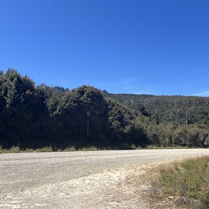 Mount Victoria Summit Trail