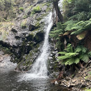 Mid Mathinna Falls