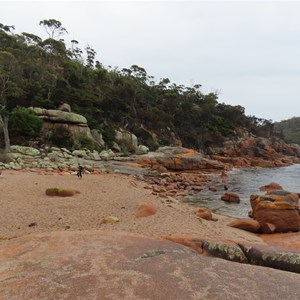 Beach scene