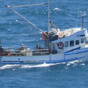 Cray Boat working off Cape Carnot