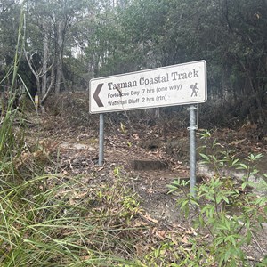 Tasman Coastal Track
