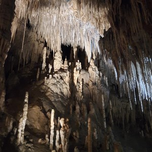 Formations galore