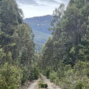 Alternative Trailhead to Hartz Peak