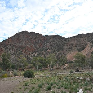 Yellow-Footed Rock Wallaby Colony Parking