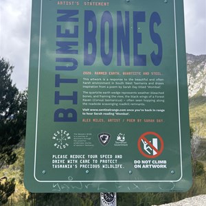 Bitumen Bones